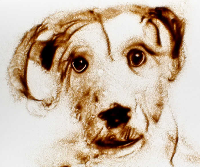 Live sand art David Myriam