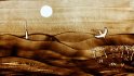 2017 :: Live sand art: Show Dunes, David Myriam