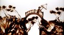 2010 - Live sand show, drawing research