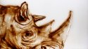 2012 :: Fast Rhino Sand drawing