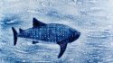 2010 - Sand drawing with blue sand, Whale Shark