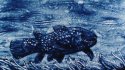 2010 - Sand drawing with blue sand, Fish