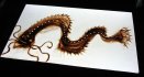 2016 :: Live sand art: Show rock Namazu