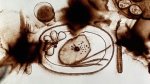 It's not Food, picture from the movie {JPEG}